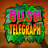 bush telegraph